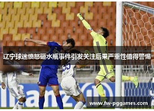 辽宁球迷愤怒砸水瓶事件引发关注后果严重性值得警惕 辽宁球迷愤怒砸水瓶事件引发关注后果严重性值得警惕