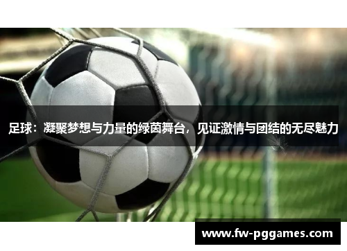 足球：凝聚梦想与力量的绿茵舞台，见证激情与团结的无尽魅力