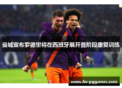 曼城宣布罗德里将在西班牙展开首阶段康复训练 曼城宣布罗德里将在西班牙展开首阶段康复训练